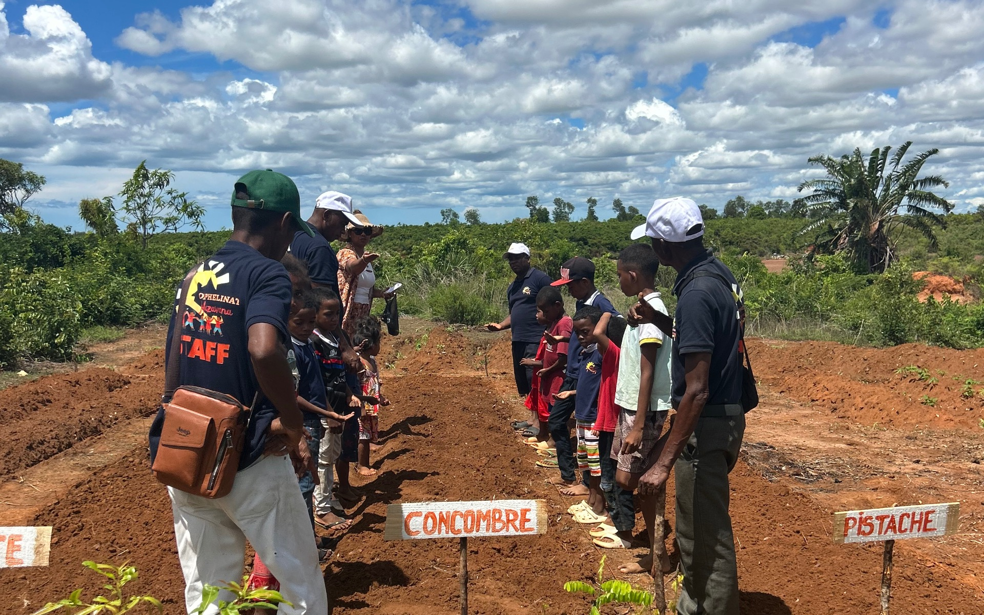 the construction of thé new gate for the site and vegetable gardens for growing some vegetables 
